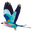 Logo van Jani Beauty