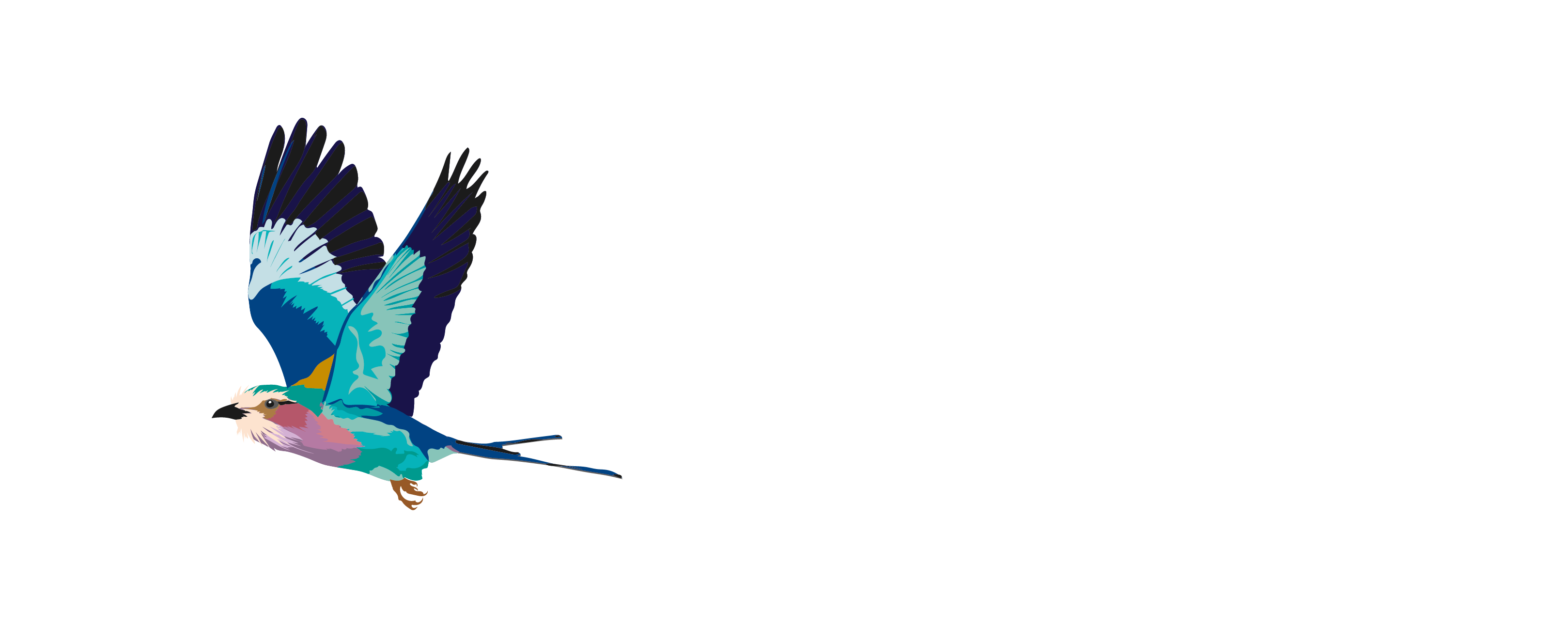 Jani Beauty