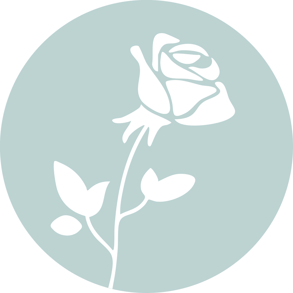 White rose with leaves on a navy blue circular background