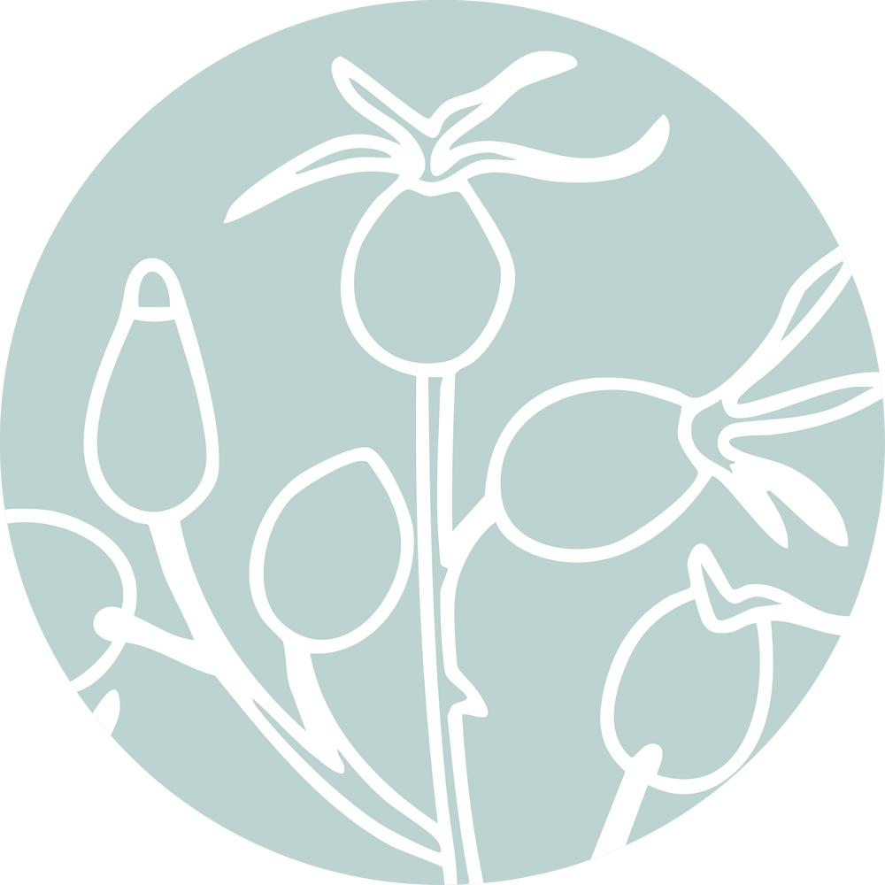 Rosehip Fruit Oil Suncare Ingredient