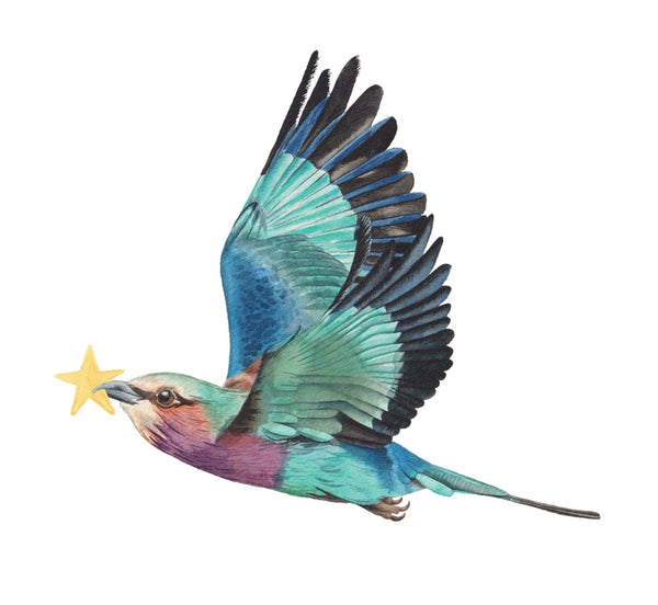 Colorful bird with open wings on a white background
