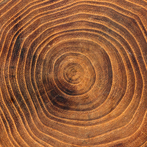 Cedarwood Essential Oil