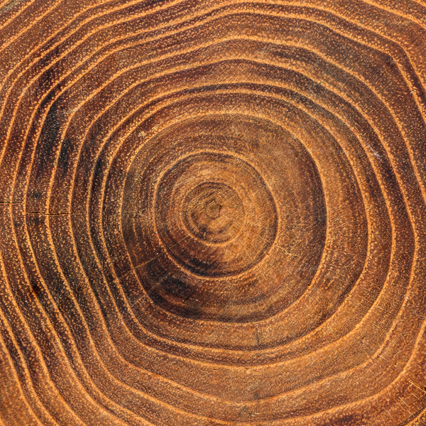 Cedarwood Essential Oil